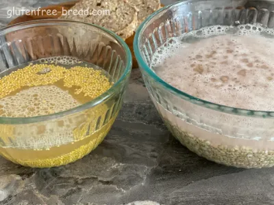 Buckwheat Millet Oat Bread